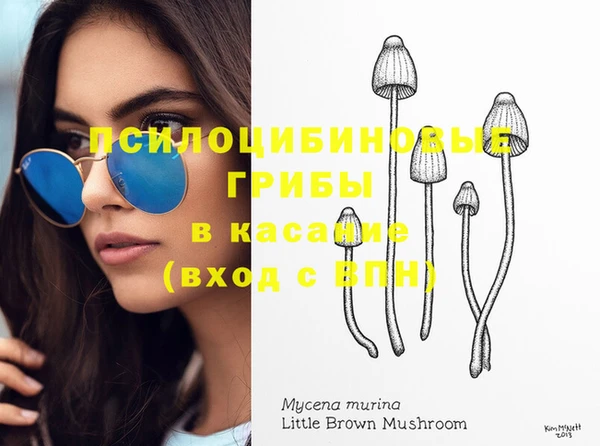 шишки Зеленокумск