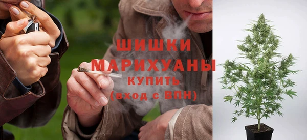 шишки Зеленокумск